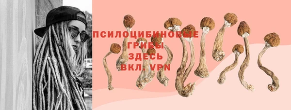 мескалин Алексин