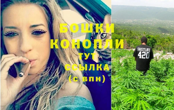 PSILOCYBIN Братск