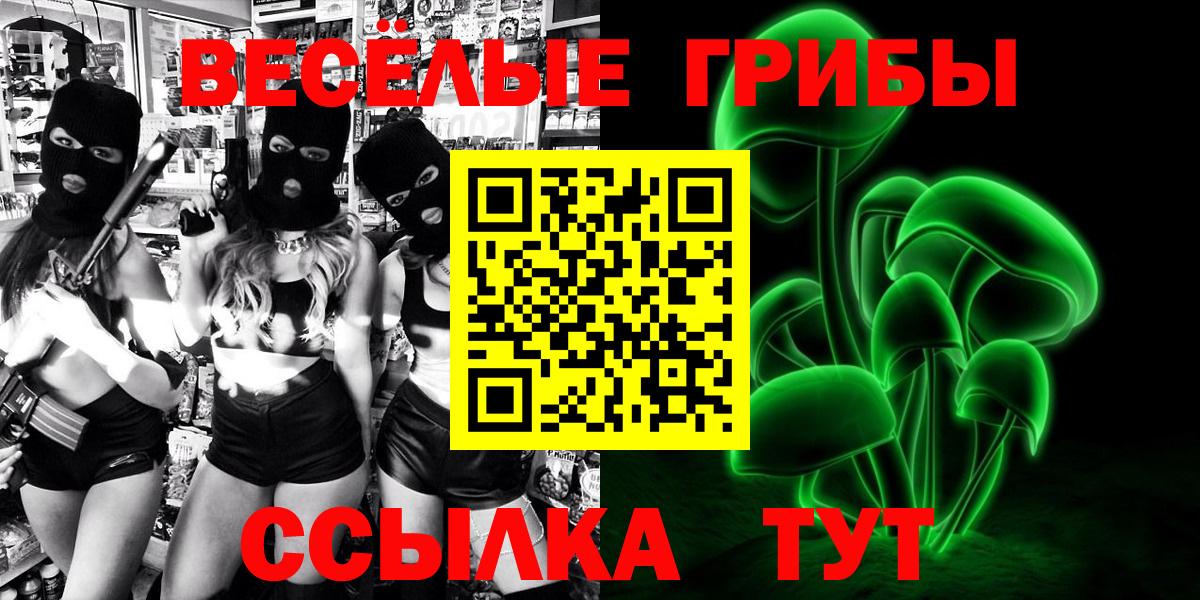 Псилоцибиновые грибы GOLDEN TEACHER  Вход с VPN  Анжеро-Судженск  Псилоцибиновые грибы Magic Shrooms 