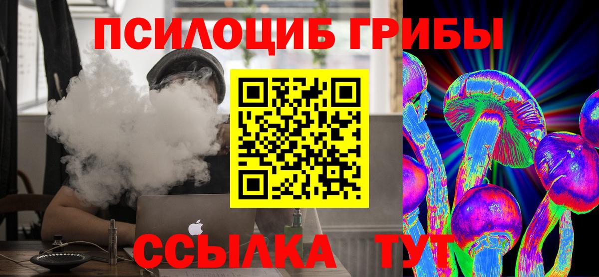 Псилоцибиновые грибы Psilocybe Анжеро-Судженск
