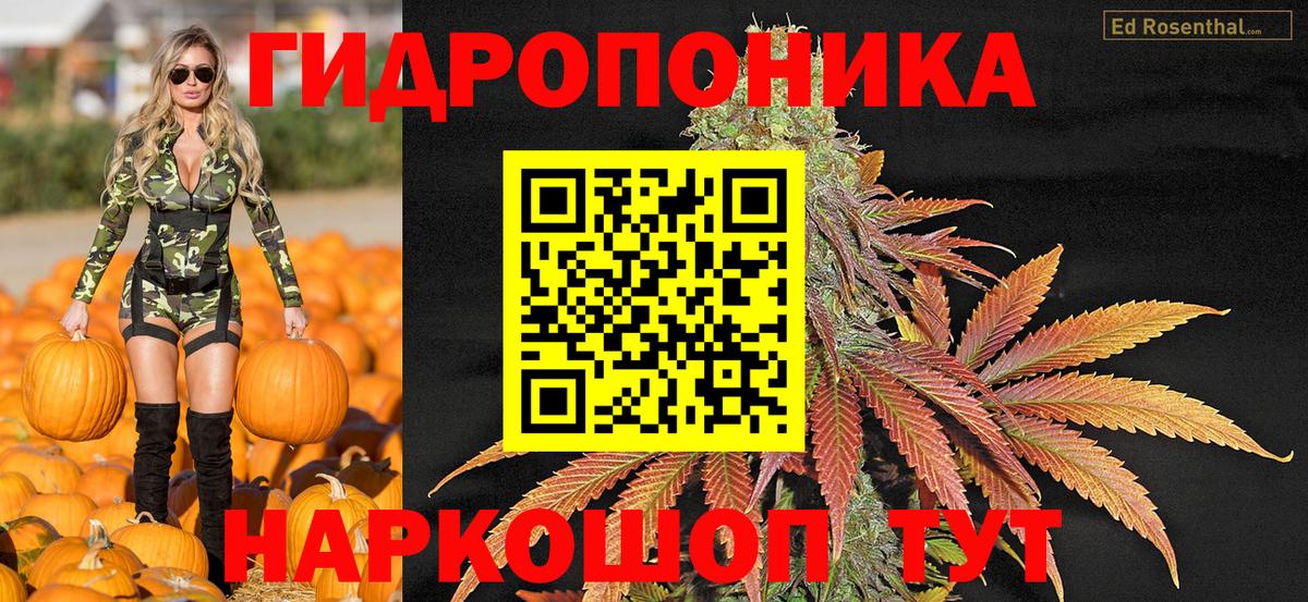Шишки марихуана AK-47  Вход с VPN  Бошки марихуана THC 21%  МАРИХУАНА план  Шишки марихуана LSD WEED  Анжеро-Судженск 